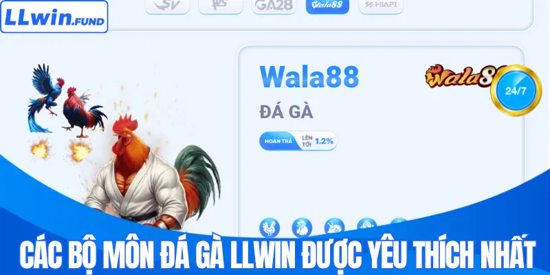 Các bộ môn đá gà LLWIN được yêu thích nhất