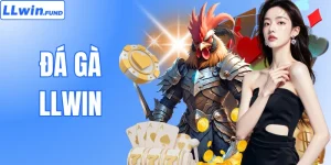 Đá Gà LLWIN - Trải Nghiệm Sàn Đấu An Toàn Và Minh Bạch 2026