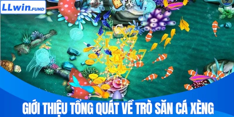 Giới thiệu tổng quát về trò săn cá xèng