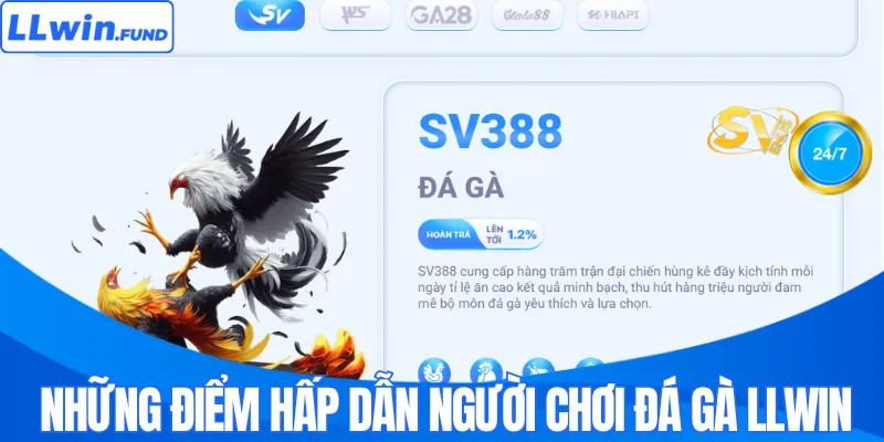 Những điểm hấp dẫn người chơi đá gà LLWIN