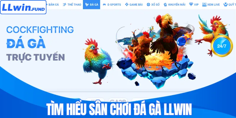 Tìm hiểu sân chơi đá gà LLWIN