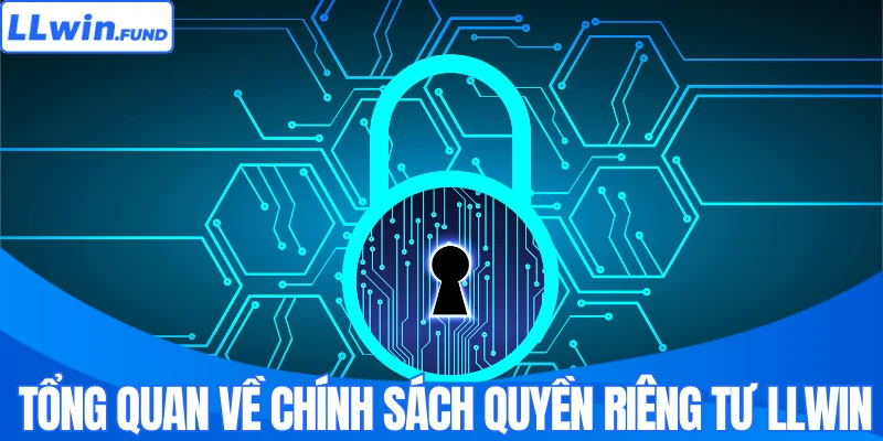 Tổng quan về chính sách quyền riêng tư tại LLWIN