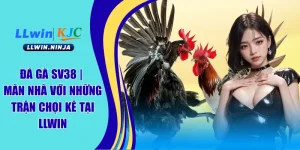 Đá Gà SV38 | Mãn Nhã Với Những Trận Chọi Kê Tại LLwin