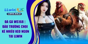 Đá Gà WS168 | Đấu Trường Chọi Kê Nhiều Kèo Ngon Tại LLwin
