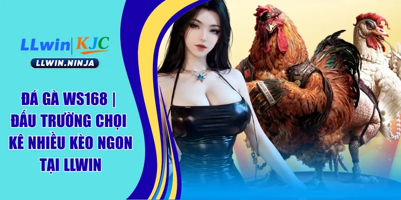 Đá Gà WS168 | Đấu Trường Chọi Kê Nhiều Kèo Ngon Tại LLwin
