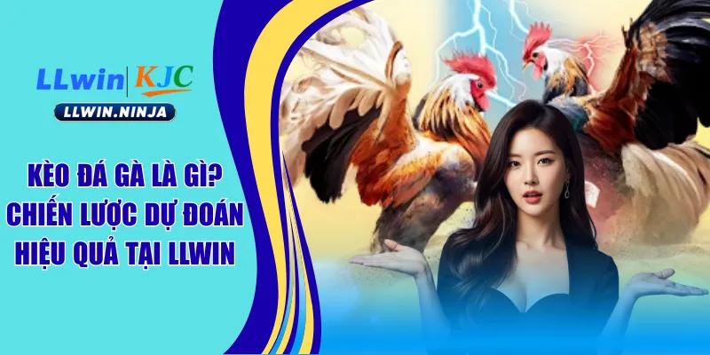 Kèo Đá Gà Là Gì? Chiến Lược Dự Đoán Hiệu Quả Tại LLwin