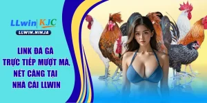 Link Đá Gà Trực Tiếp Mượt Mà, Nét Căng Tại Nhà Cái LLwin