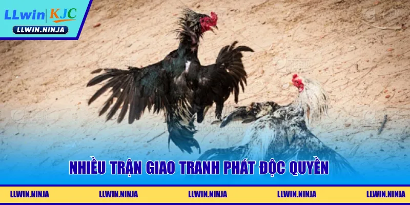 Nhiều trận giao tranh phát độc quyền